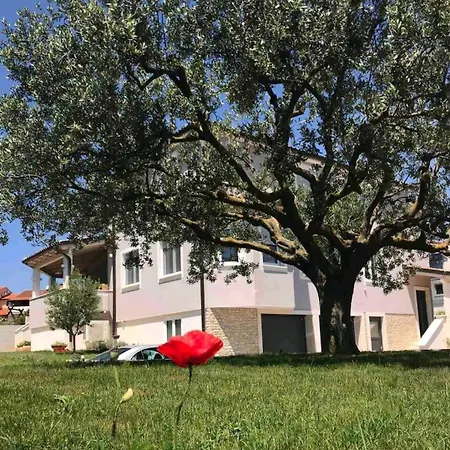 Melisa Apartment Pula